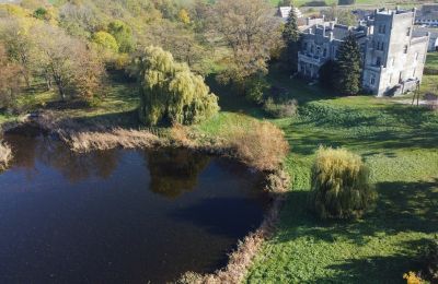 Zámok na predaj Górki Dąbskie, Pałac w Górkach Dąbskich, województwo kujawsko-pomorskie, Nehnuteľnosť