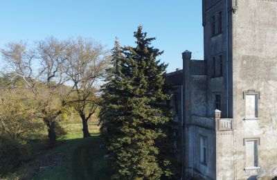 Zámok na predaj Górki Dąbskie, Pałac w Górkach Dąbskich, województwo kujawsko-pomorskie, Veža