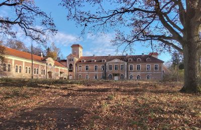 Zámok na predaj Dobrocin, Pałac w Dobrocinie, województwo warmińsko-mazurskie, Pohľad z prednej strany