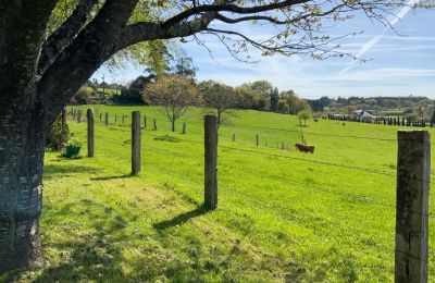 Statok na predaj Melide, Cabazás, Galícia, Campo de la propiedad