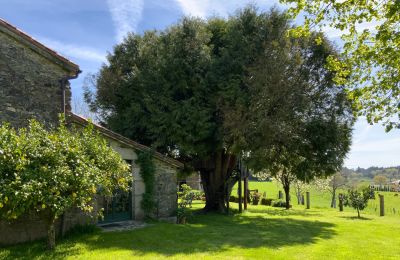 Statok na predaj Melide, Cabazás, Galícia, Terraza y jardín