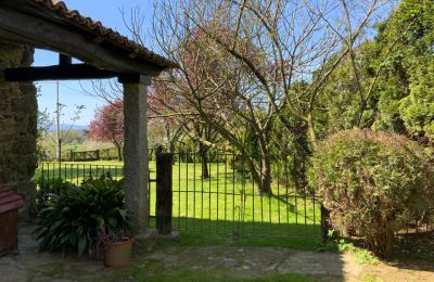 Statok na predaj Melide, Cabazás, Galícia, Terraza y jardín