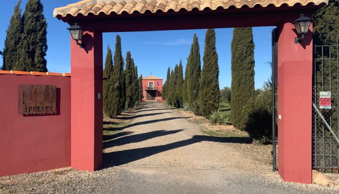 Vidiecky dom na predaj Almagro, Castilla-La Mancha,  Španielsko