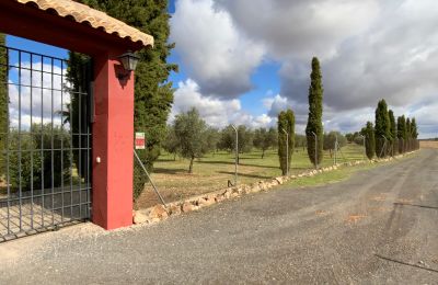 Statok na predaj Almagro, Almagro, Castilla-La Mancha, Prístup