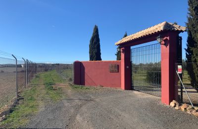 Statok na predaj Almagro, Almagro, Castilla-La Mancha, Entrada