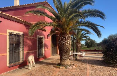 Statok na predaj Almagro, Almagro, Castilla-La Mancha, Fachada