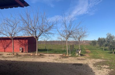 Statok na predaj Almagro, Almagro, Castilla-La Mancha, Propiedad con almendros