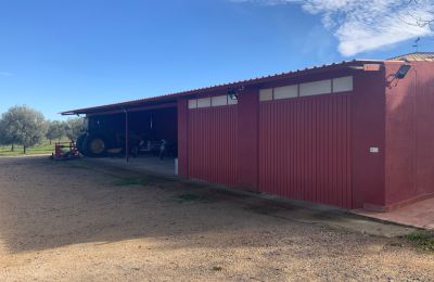 Statok na predaj Almagro, Almagro, Castilla-La Mancha, Garaje