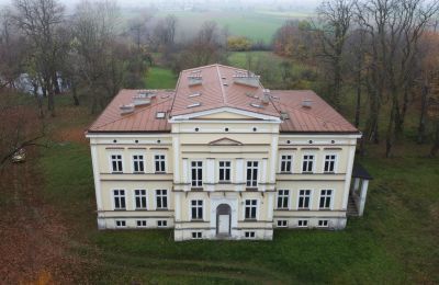 Zámok na predaj Karszew, województwo wielkopolskie, Obrázok 6/19