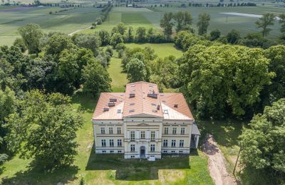 Zámok na predaj Karszew, województwo wielkopolskie, Okolie nehnuteľnosti