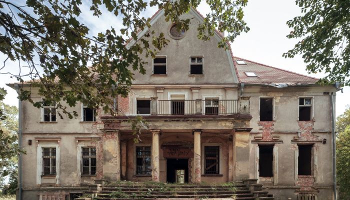 Zámok na predaj Wilków, województwo opolskie,  Poľsko