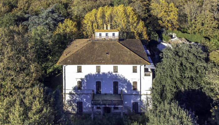 Historická vila Pontedera 4