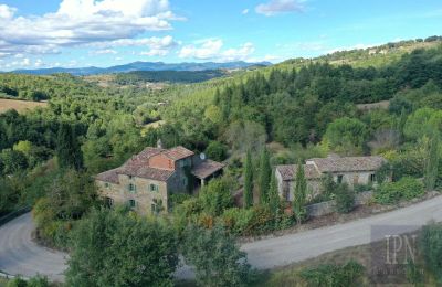 Statok 06010 Monte Santa Maria Tiberina, Umbria