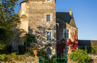 Kaštieľ na predaj Pays de la Loire, Exteriérový pohľad