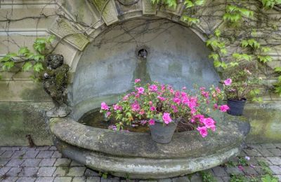 Historická vila na predaj Vernaison, Auvergne-Rhône-Alpes, Detaily