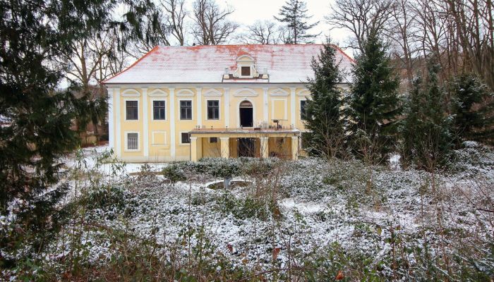 Zámok na predaj Plzeňský kraj, okres Klatovy, Klatovy,  Česká republika