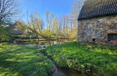 Zámok na predaj Astenet, Wallonie, Weiher mit Insel ( ideal für Hochzeitzermonien)