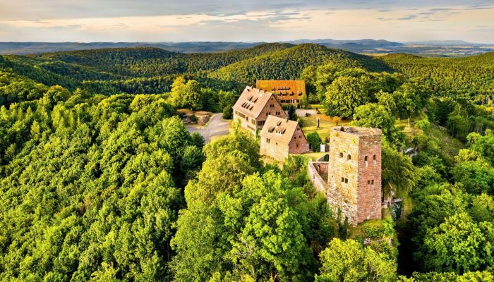 Hrad na predaj 67330 Dossenheim-sur-Zinsel, Grand-Est,  Francúzsko