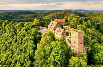 Hrad 67330 Dossenheim-sur-Zinsel, Grand-Est