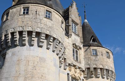 Zámok na predaj Chartres, Centre-Val de Loire, Detaily