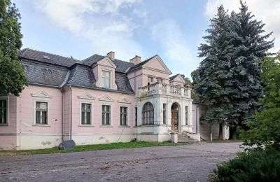 Kaštieľ na predaj Manieczki, Parkowa 4, województwo wielkopolskie, Exteriérový pohľad