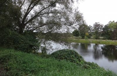 Zámok na predaj Łęg, województwo wielkopolskie, Zámocký park