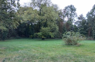 Kaštieľ na predaj Brodnica, województwo wielkopolskie, Zámocký park