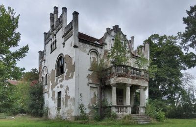 Kaštieľ na predaj Brodnica, województwo wielkopolskie, Terasa