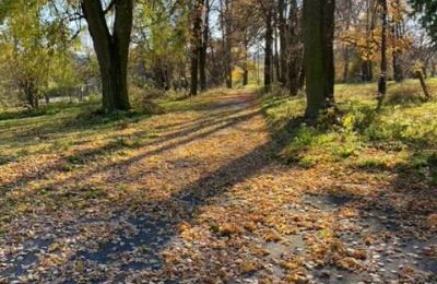 Kaštieľ na predaj Mzurów, województwo śląskie,, Obrázok 5/5