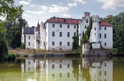 Zámok na predaj Dobrocin, Pałac w Dobrocinie, województwo dolnośląskie, Pohľad zboku