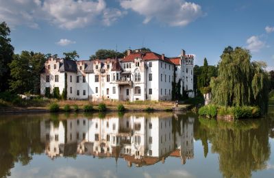 Zámok na predaj Dobrocin, Pałac w Dobrocinie, województwo dolnośląskie, Obrázok 6/17