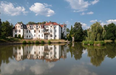 Zámok na predaj Dobrocin, Pałac w Dobrocinie, województwo dolnośląskie, Pałac w Dobrocinie