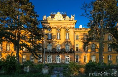 Dornburg an der Elbe: Schloss wird nach Berlin verkauft