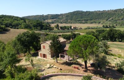 Vidiecky dom na predaj Montescudaio, Toscana, RIF 2185 Blick auf Anwesen