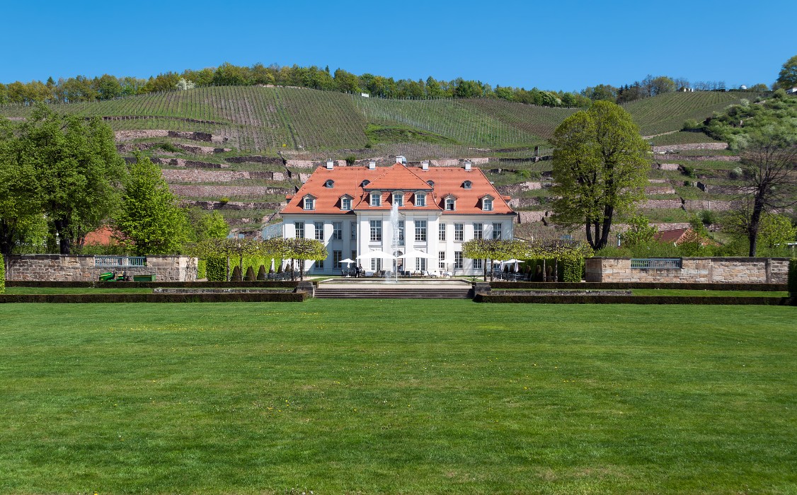 Schloss Wackerbarth, Sächsisches Staatsweingut, Radebeul